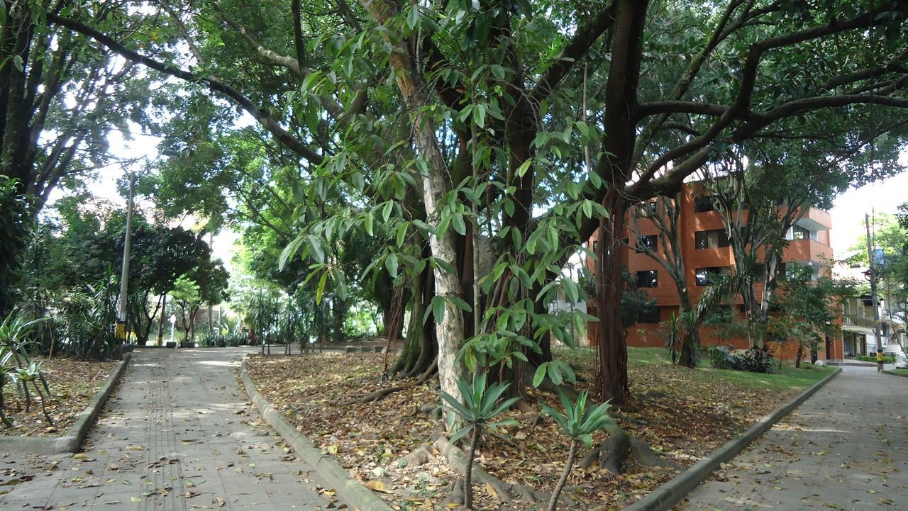 Iris Hostel Medellin Bagian luar foto