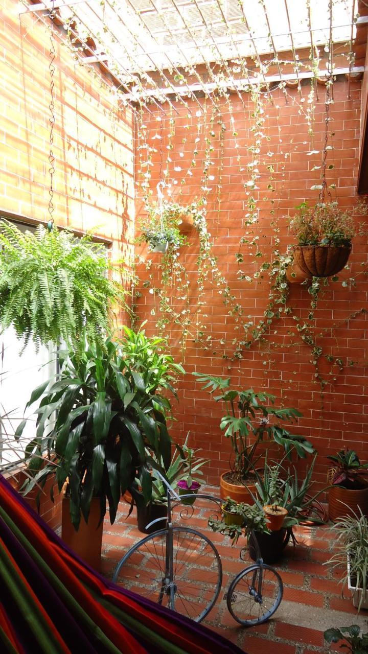 Iris Hostel Medellin Bagian luar foto